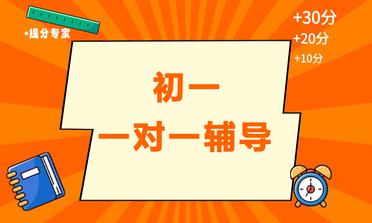 初一 一对一辅导