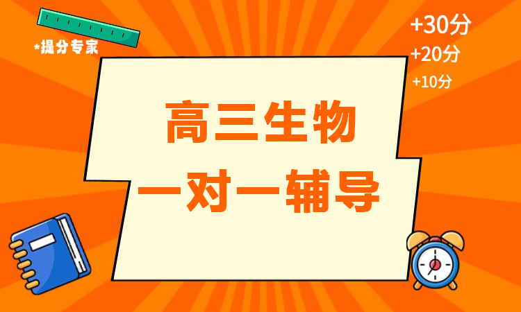 高三生物一对一辅导