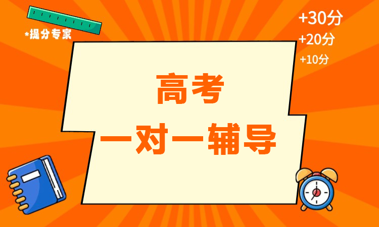 高考一对一辅导